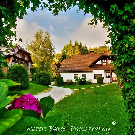 Green * Dravograd