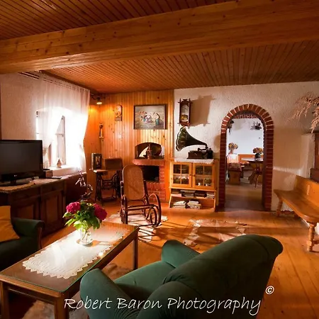 Apartment Green Dravograd